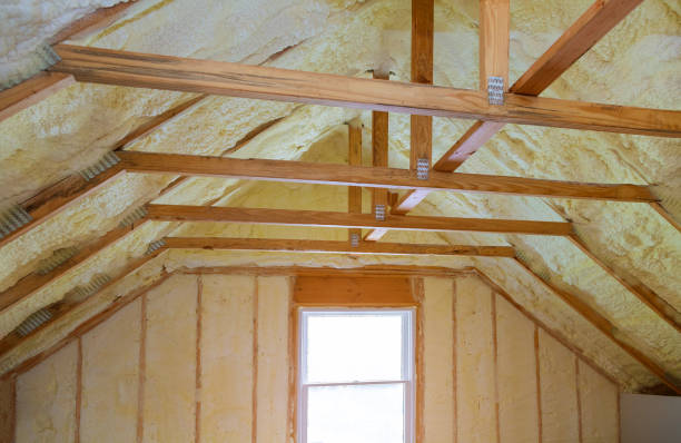 Best Local Insulation Services  in Lake St Louis, MO