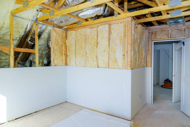 Best Crawl Space Insulation  in Lake St Louis, MO