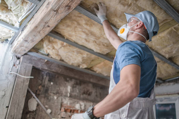 Best Best Insulation Companies  in Lake St Louis, MO