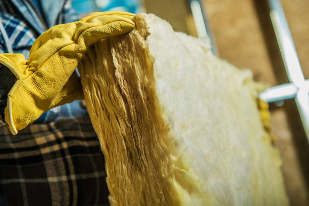 Best Insulation Inspection Services  in Lake St Louis, MO