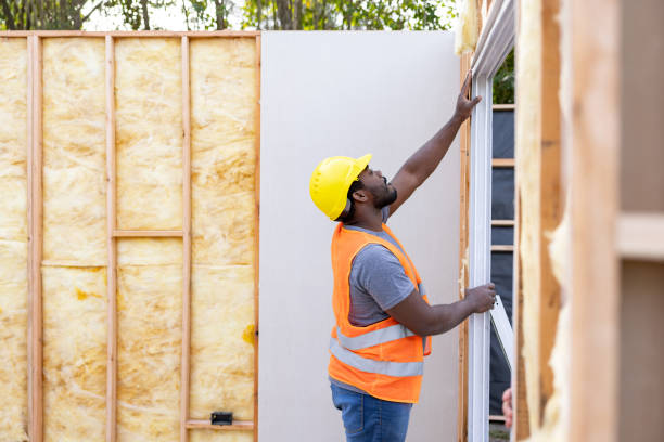 Best Insulation Contractor Near Me  in Lake St Louis, MO
