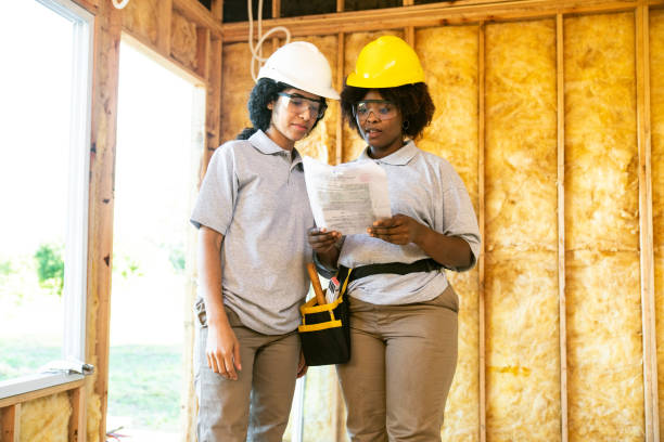 Best Cellulose Insulation  in Lake St Louis, MO