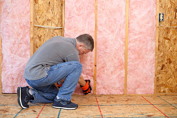 Insulation for Commercial Buildings in Lake St Louis, MO