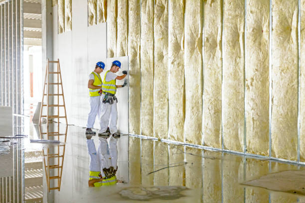 Best Insulation Removal  in Lake St Louis, MO